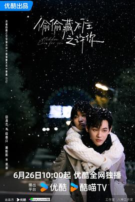 偷偷藏不住之许你(全集)