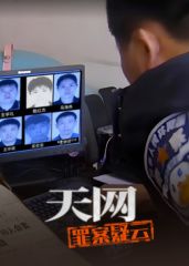 天网：罪案疑云(全集)