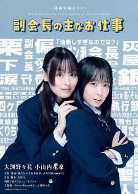 副会长的主要工作(全集)